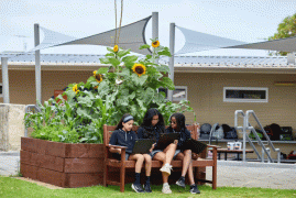 Screenshot-2026-06-02-at-12.51.00 pm.gif